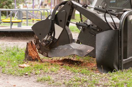 stump grinding near me