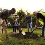 Tree Planting The Pinnacle Of Landscaping